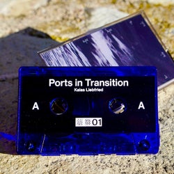 Ports in Transition