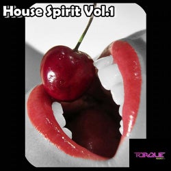 V.A House Spirit Vol.1