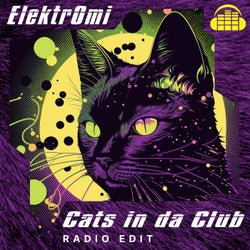 Cats in da Club (Radio Version)