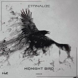 Midnight bird