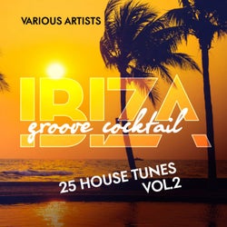 Ibiza Groove Cocktail (25 House Tunes), Vol. 2