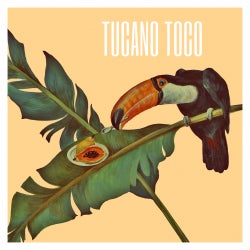 Vagabundo - TUCANO TOCO CHART