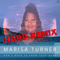 Don't Need To Know Your Name (Hard Remix)