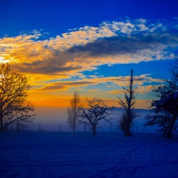Winter Sun by Seb Freeman