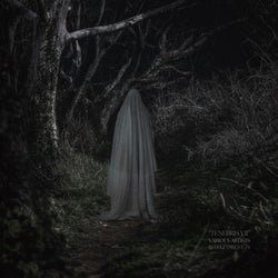 Tenebris VII