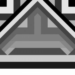 P X03
