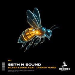Silver Lining - Extended Mix