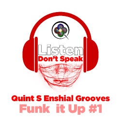Quint S Enshial Grooves - Funk it Up #1