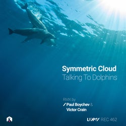 Talking to Dolphins