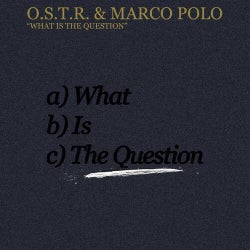 What Is The Question