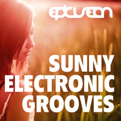 Sunny Electronic Grooves Q1 2013