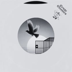 Born to be Free (Ozone Remix)