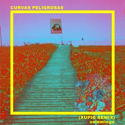 Curvas Peligrosas (xupid Remix)