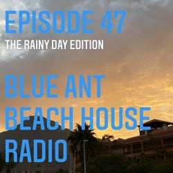#47 Blue Ant Beach House Radio