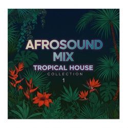 AFROSOUND MIX - TROPICAL HOUSE COLLECTION 1