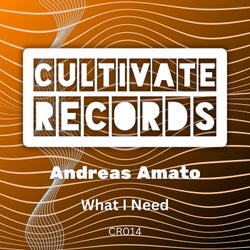 What I Need (Extended)