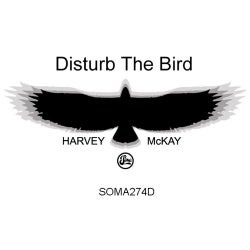Disturb The Bird