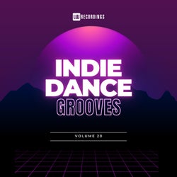Indie Dance Grooves, Vol. 20