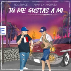 Tu Me Gustas a Mi