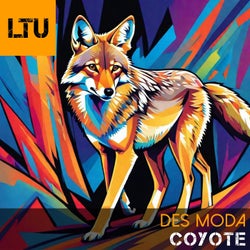 Coyote (Original Mix)