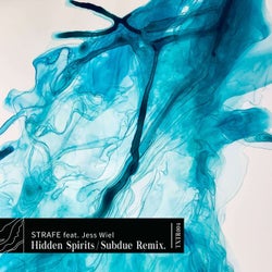 Hidden Spirits / Subdue Remix