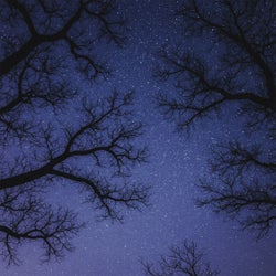 Eternity's Last Pulse