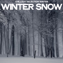 Winter Snow (Chillout Selection Winter)