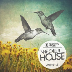 We Call It House Vol. 12