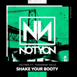 Shake Your Booty (feat. Thayana Valle)