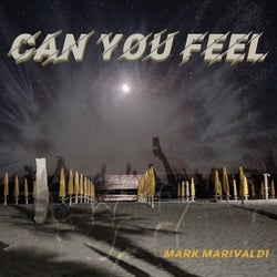 Can You Feel