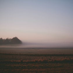 Spaziergang im Morgengrauen