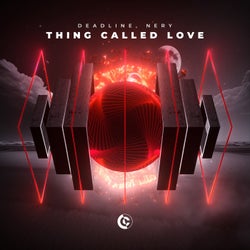 Thing Called Love (Extended Mix)