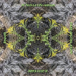 Hi Tech Lo Life Remixes