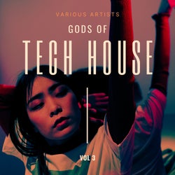 Gods of Tech House, Vol. 3