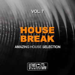 House Break, Vol. 7 (Amazing House Selection)