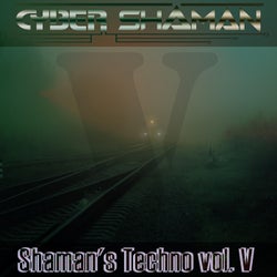 Shaman's Techno vol. V