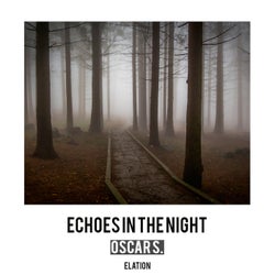 Echoes In The Night