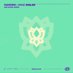 More In Love (Mike Rigler Remix)