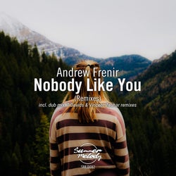 Nobody Like You (Remixes)