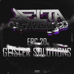 Geisler Solutions