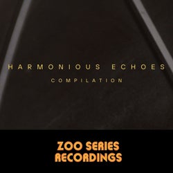 Harmonious Echoes