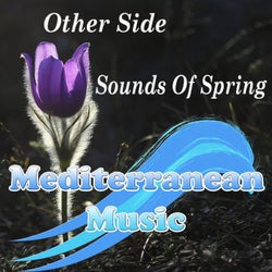 Sounds Of Spring (Dmitry Meretskiy Remix)