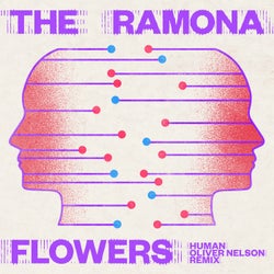 Human - Oliver Nelson Remix