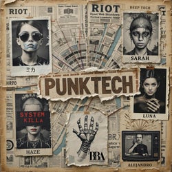 PUNKTECH