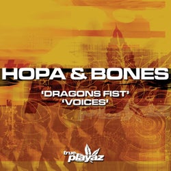 Dragons Fist / Voices