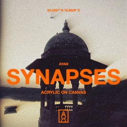 Synapses
