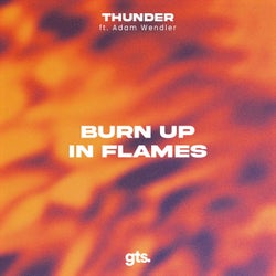 Burn up in Flames (feat. Adam Wendler)