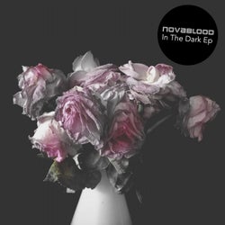 In the Dark EP