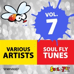 Soul Fly Tunes, Vol. 7