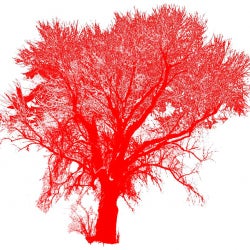 red.tree Full Moon Aftermath August Chart